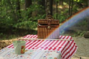 Going out on a picnic with your partner is a very romantic plan, even more so if it is February 14.