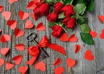 80 Frases de San Valentín para celebrar el amor en el 2020